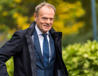 Miniatura: Donald Tusk przeszedł na wcześniejszą...