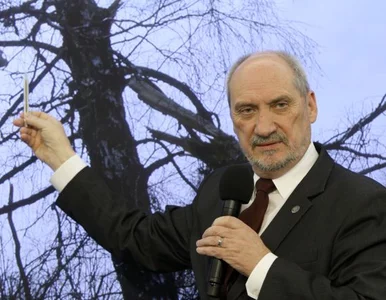 Miniatura: Macierewicz oskarża Tuska i prokuraturę....