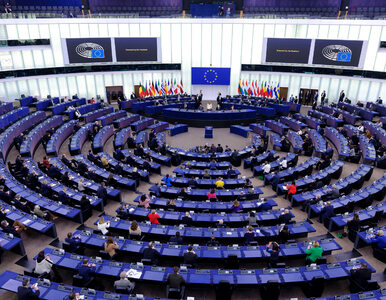 Miniatura: UE zadecyduje o przyszłości paktu...