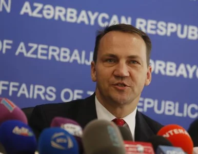 Miniatura: Sikorski i minister spraw zagranicznych...