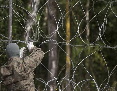 Miniatura: Białoruskie służby rozdają migrantom...