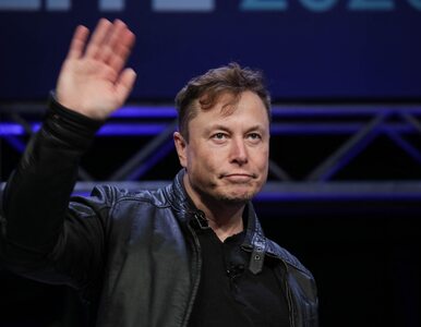 Miniatura: Elon Musk w Niemczech. Ekscentryczny...
