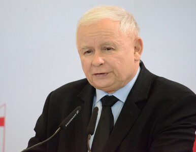Miniatura: Kaczyński o śmierci Szyszko: To nie był...