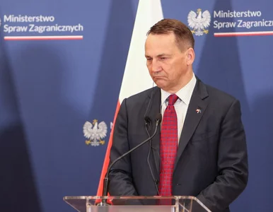 Miniatura: Sikorski uderza w Łukaszenkę. To on jest...