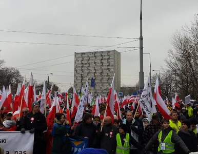 Miniatura: Kijowski: Mam nadzieję, że następnym razem...