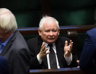 Miniatura: Kaczyński pogroził palcem posłance klubu...