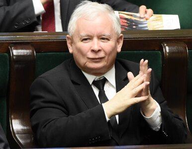 Miniatura: Kaczyński: Słyszeliśmy rechot i "dobre...