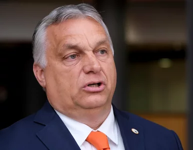 Miniatura: Orban ma niecodzienny pomysł: stwórzmy...