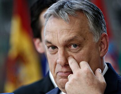 Miniatura: Węgry zawetują wsparcie dla Ukrainy? UE ma...