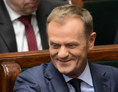 Miniatura: Najnowszy sondaż: PO deklasuje PiS