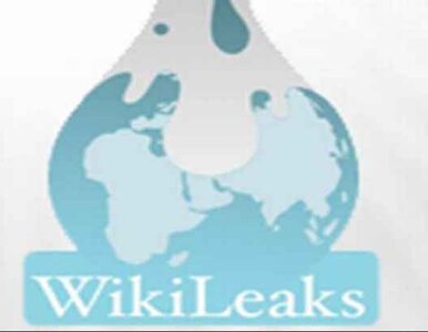 WikiLeaks na cenzurowanym