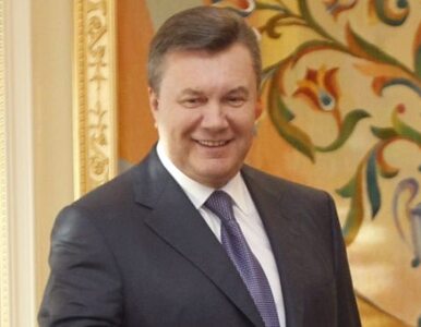 Miniatura: Janukowycz: bojkot? Euro i tak się odbędzie