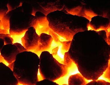 Miniatura: Czy warto umierać za węgiel?