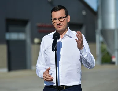 Miniatura: Morawiecki potwierdza słowa Orbana: Nasze...