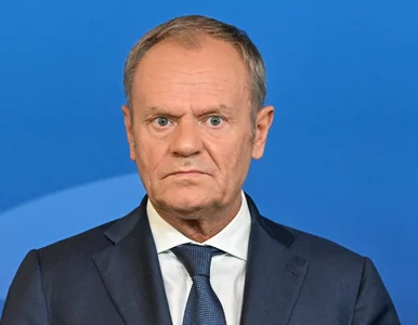 Miniatura: Donald Tusk może świętować międzynarodowy...