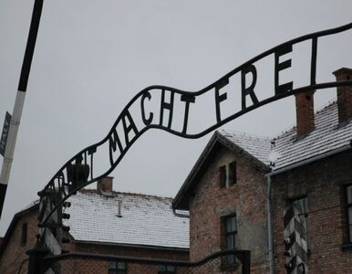 Miniatura: Kradzież w Auschwitz: zleceniodawca...