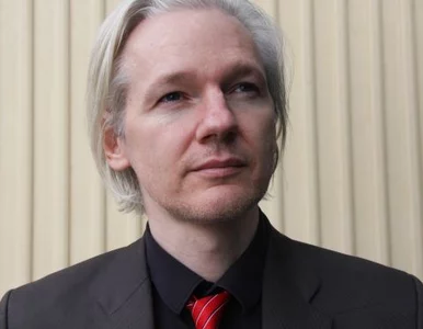 Miniatura: Assange: Dziennikarze traktowani są przez...