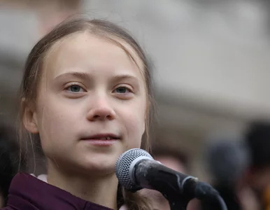 Miniatura: Greta Thunberg w Davos. „Nasz dom płonie”