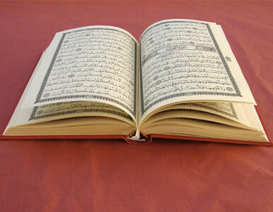 Miniatura: Palenie Koranu i bezczeszczenie zwłok -...
