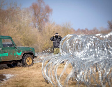 Miniatura: Incydenty przy granicy z Białorusią....