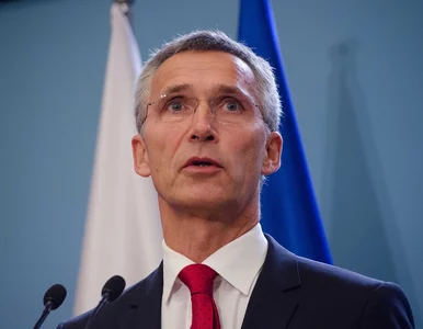 Miniatura: Stoltenberg: NATO wyśle okręty na Morze...