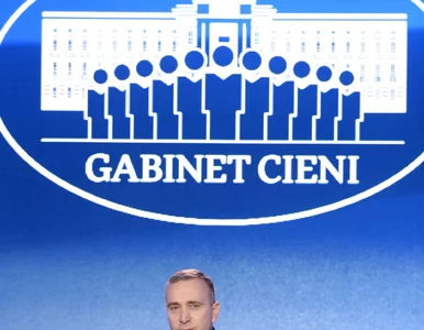 Miniatura: Gabinet cieni PO. Mazurek: Efekt...