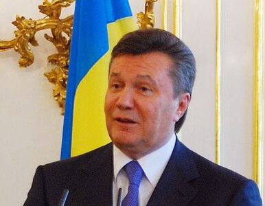 Janukowycz: nie jestem przeciwnikiem uwolnienia Tymoszenko