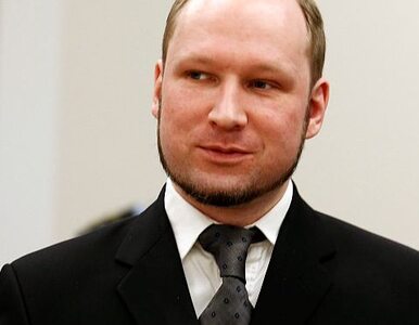 Miniatura: Breivik zadowolony. Dostał 21 lat za...