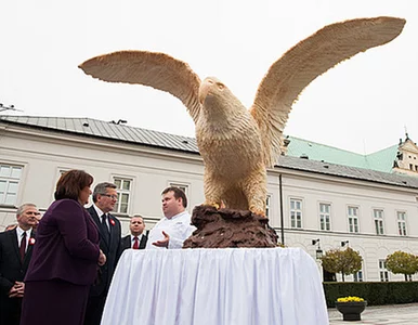 Miniatura: Nałęcz: jestem wielkim zwolennikiem...