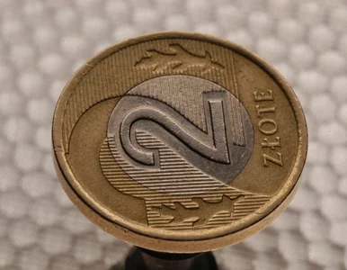 Miniatura: Euro za 3 złote?