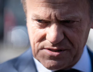 Miniatura: Donald Tusk: Perfekcyjna realizacja planu...