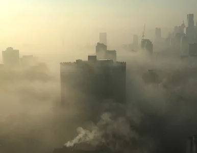 Miniatura: Brak węgla. Ekspert: Czeka nas bardzo...