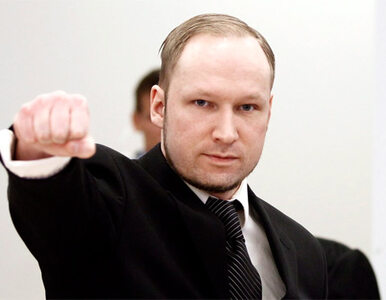 Miniatura: Morderca Breivik grozi kolejnymi zamachami