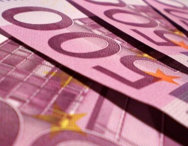 Miniatura: Bochniarz: Polska powinna przyjąć euro...