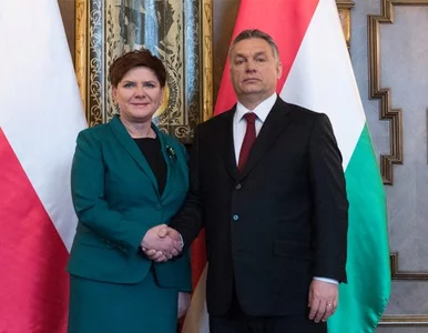 Miniatura: Premier Szydło spotkała się z Orbanem