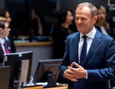 Miniatura: Kosiniak-Kamysz premierem a Tusk...