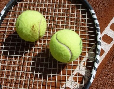 Miniatura: Tenis: Polacy rozstawieni w US Open