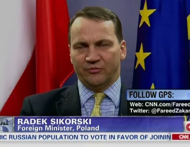 Miniatura: Sikorski: Polska na razie nie czuje się...