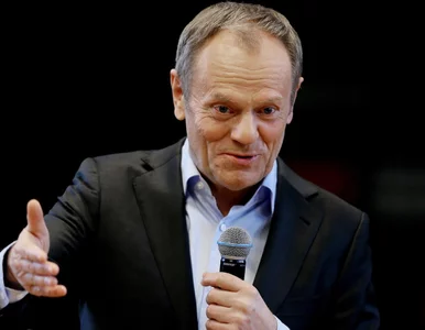 Miniatura: Tusk kpi z Konfederacji. „Czemu tak się...