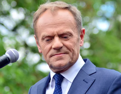 Miniatura: Tusk wyżej nie podskoczy. „Nawet, jak ma...