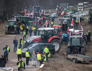 Miniatura: Nowy sondaż. Polacy wskazali winnych...