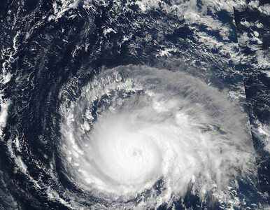 Miniatura: NASA pokazała siłę huraganu. Te zdjęcia...