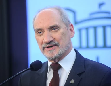 Miniatura: Po katastrofie Tu-154 Macierewicz nie...