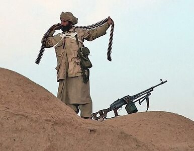 Miniatura: Afgański rząd chce zakończyć wojnę....