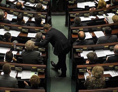 Miniatura: PSL: PO i PiS mogą rozwiązać Sejm na jesieni