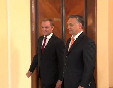 Miniatura: Tusk: Orban poparł koncepcję unii...