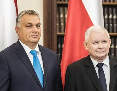 Miniatura: Kaczyński liczy na Orbana. Polityk z...