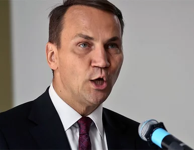 Miniatura: PO obiecała 300 miliardów. Sikorski: to...