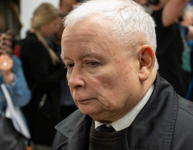 Miniatura: Kaczyński zasugerował, że za powstaniem...