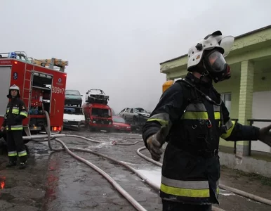 Miniatura: "Podwyżek nie widzieliśmy od trzech lat"....